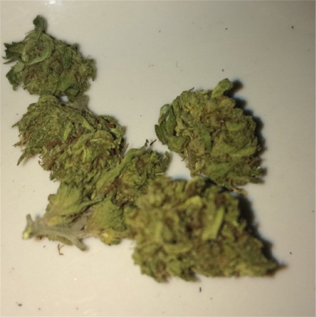 Blue Wreck marijuana strain flower with blueberry and berry flavor and hungry / euphoric effects - Rare Harvest hybrid