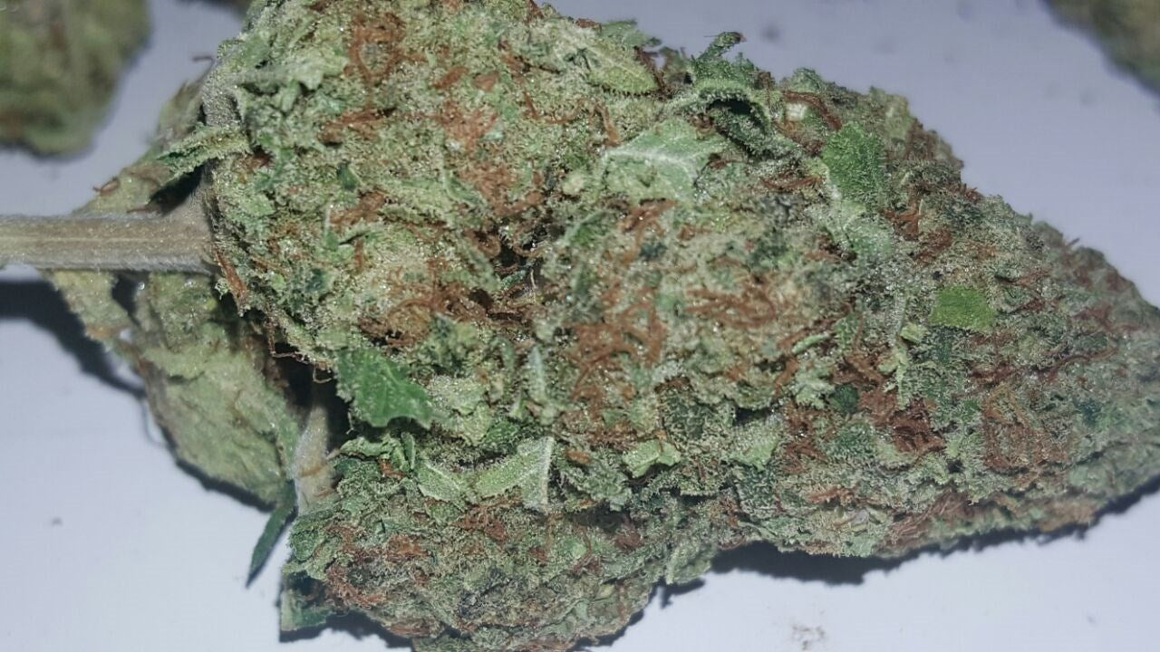 Blueberry AK marijuana strain flower with blueberry and chemical flavor and relaxed / euphoric effects - Rare Harvest hybrid