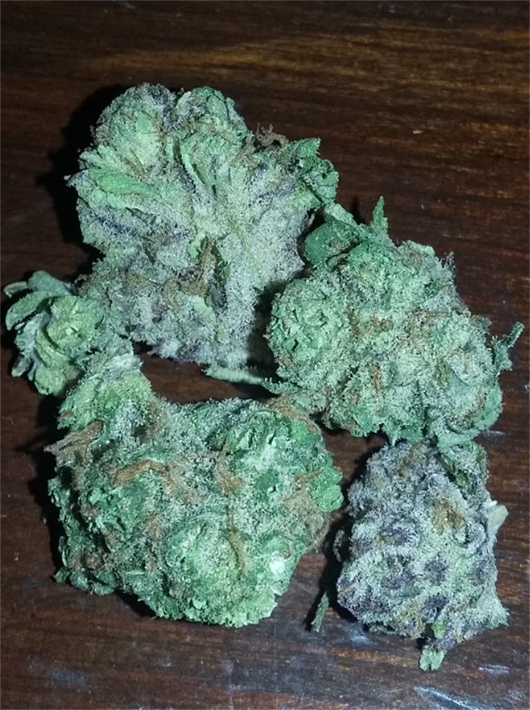 Blueberry Cheesecake marijuana strain flower with cheese and blueberry flavor and relaxed / happy effects - Rare Harvest hybrid