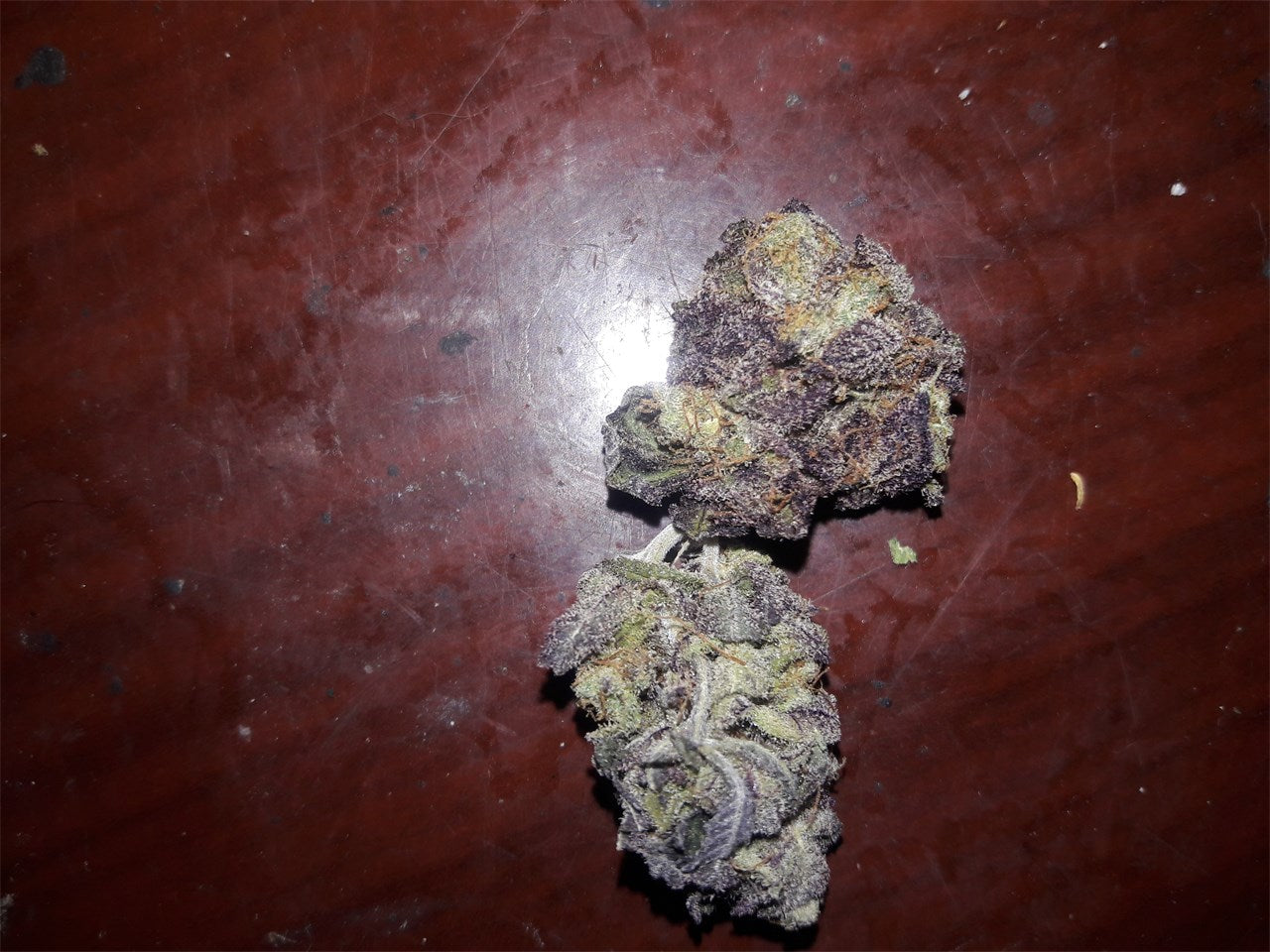 Blueberry Diesel marijuana strain flower with diesel and blueberry flavor and euphoric / relaxed effects - Rare Harvest hybrid