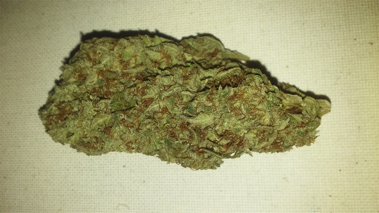 Blueberry Dream marijuana strain flower with blueberry and berry flavor and aroused / focused effects - Rare Harvest sativa