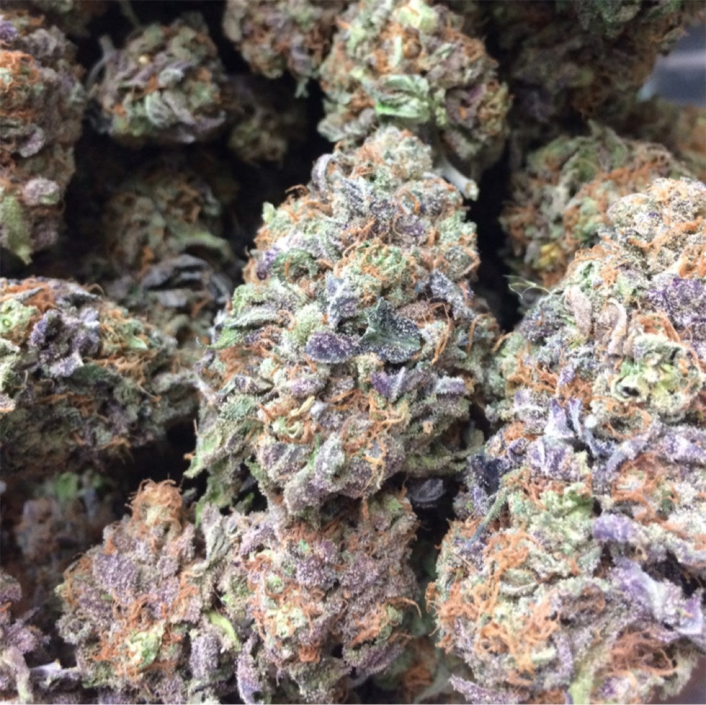 Blueberry Haze marijuana strain flower with blueberry and berry flavor and euphoric / giggly effects - Rare Harvest hybrid