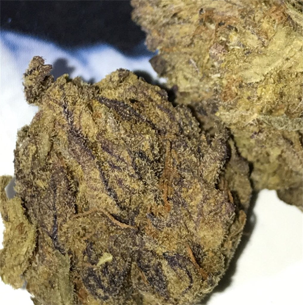 Blueberry Kush marijuana strain flower with blueberry and berry flavor and sleepy / relaxed effects - Rare Harvest indica