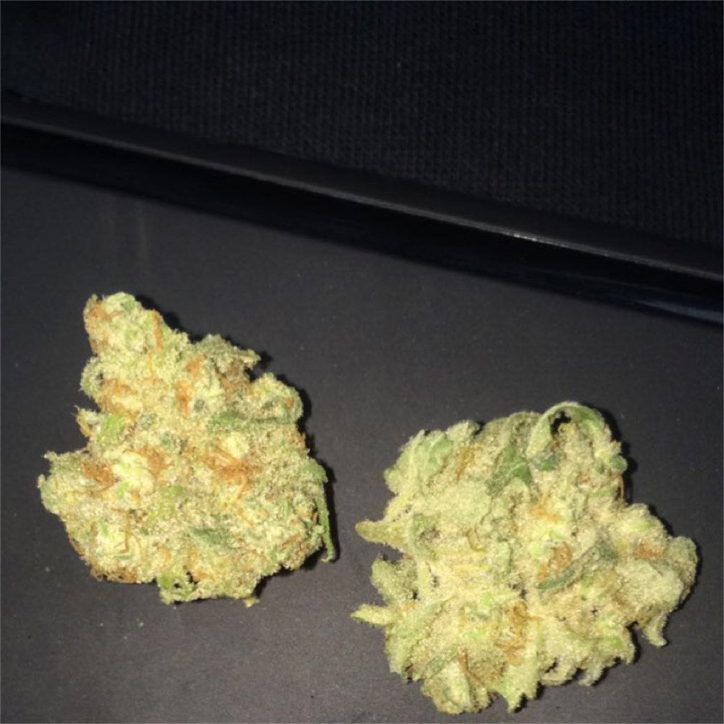 Blueberry Pancakes marijuana strain flower with butter and vanilla flavor and relaxed / aroused effects - Rare Harvest hybrid