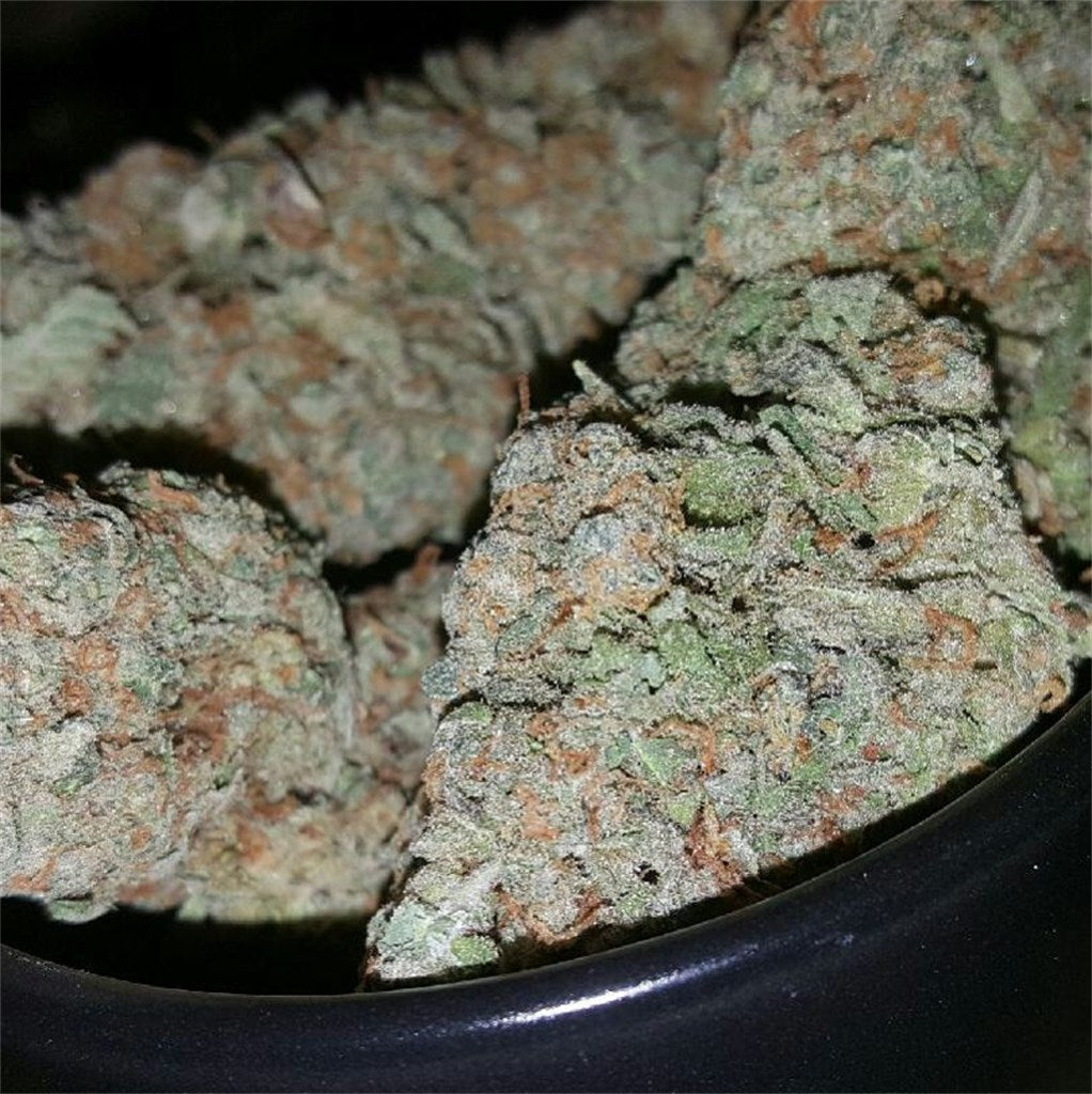 Blueberry Pie marijuana strain flower with blueberry and berry flavor and relaxed / tingly effects - Rare Harvest hybrid