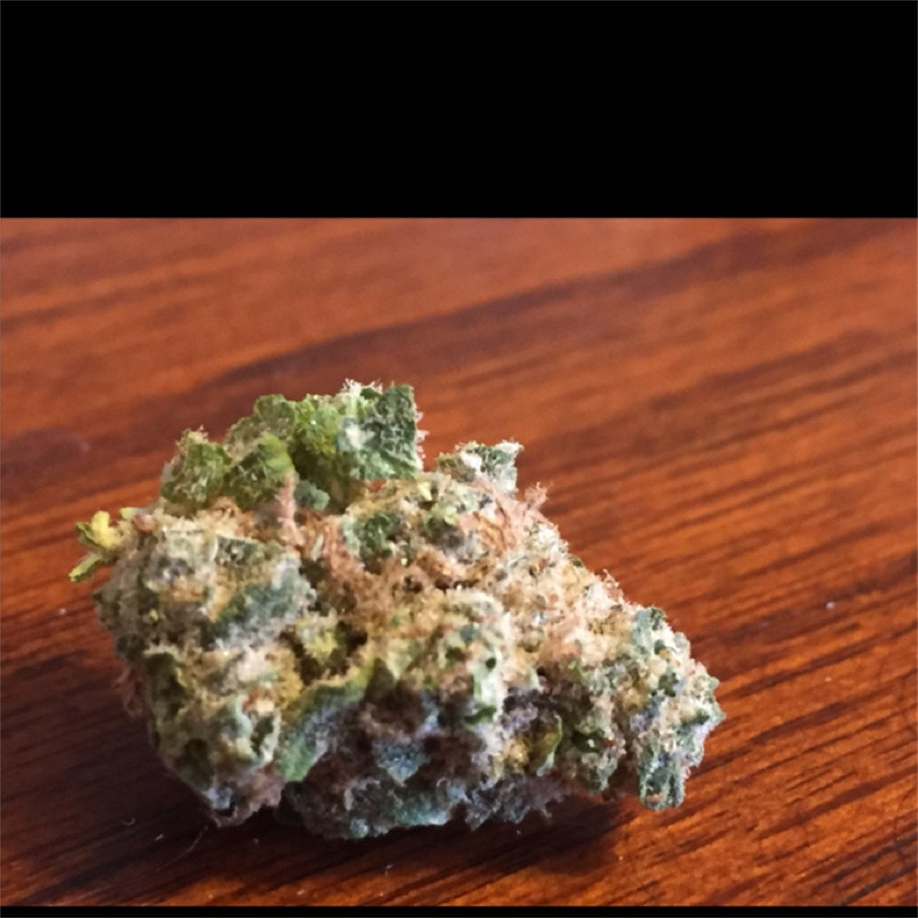 Blueberry Silvertip marijuana strain flower with sage and blueberry flavor and relaxed / happy effects - Rare Harvest hybrid
