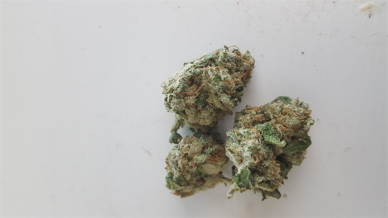 Blueberry Yum Yum marijuana strain flower with blueberry and mint flavor and happy / giggly effects - Rare Harvest hybrid