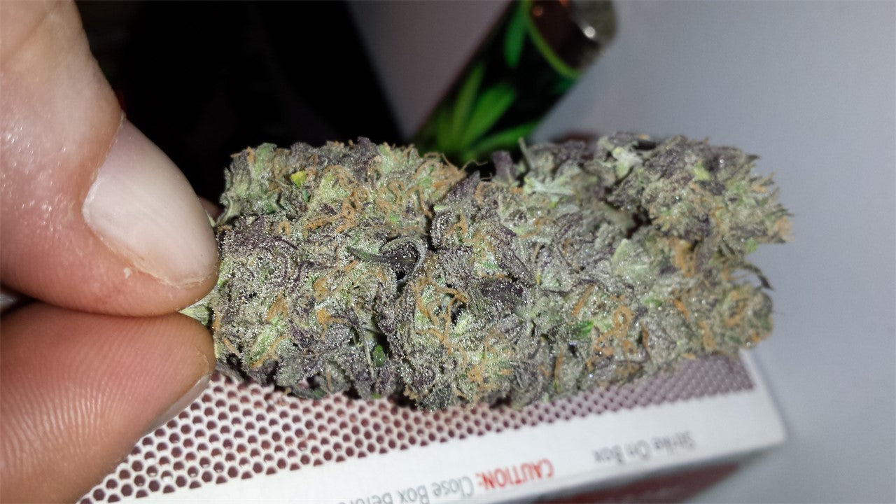 Bluniverse marijuana strain flower with blueberry and berry flavor and euphoric / creative effects - Rare Harvest hybrid