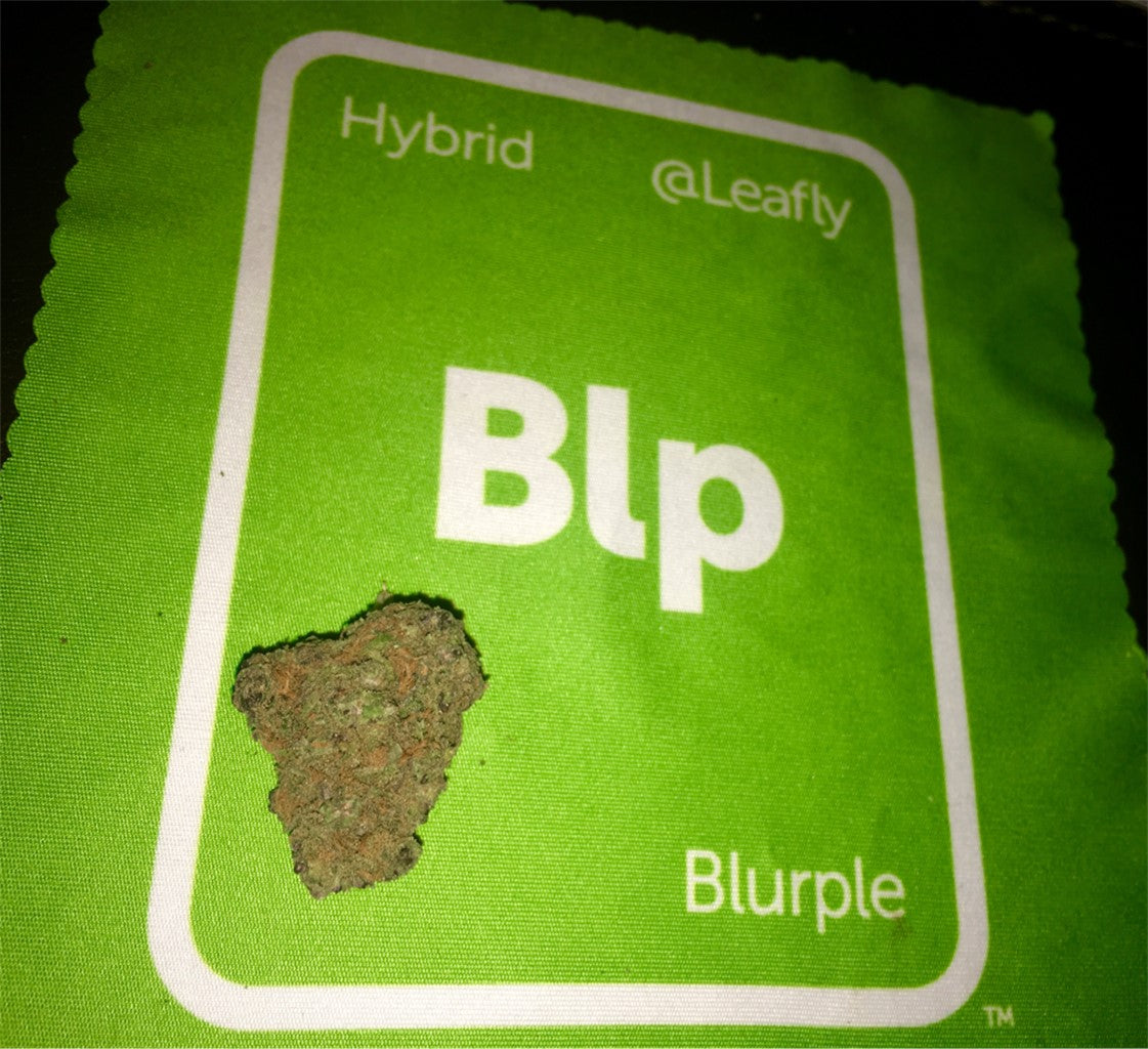 Blurple marijuana strain flower with grape and flowery flavor and hungry / happy effects - Rare Harvest hybrid