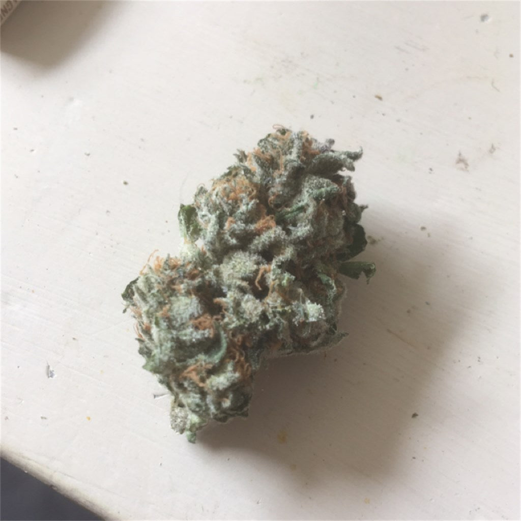 Blush marijuana strain flower with earthy and pepper flavor and creative / talkative effects - Rare Harvest hybrid