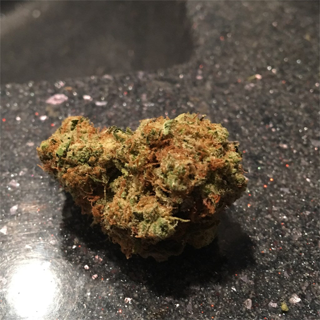 Bob Saget marijuana strain flower with sage and chemical flavor and talkative / creative effects - Rare Harvest sativa