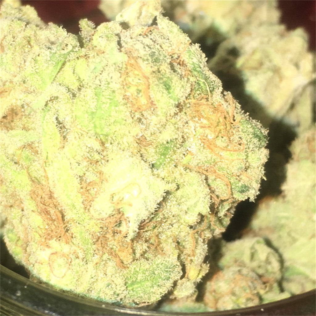 BOG Bubble marijuana strain flower with blueberry and berry flavor and uplifted / creative effects - Rare Harvest hybrid