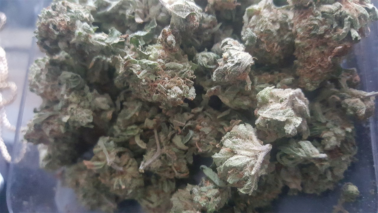 Booger marijuana strain flower with sweet and berry flavor and energetic / creative effects - Rare Harvest hybrid