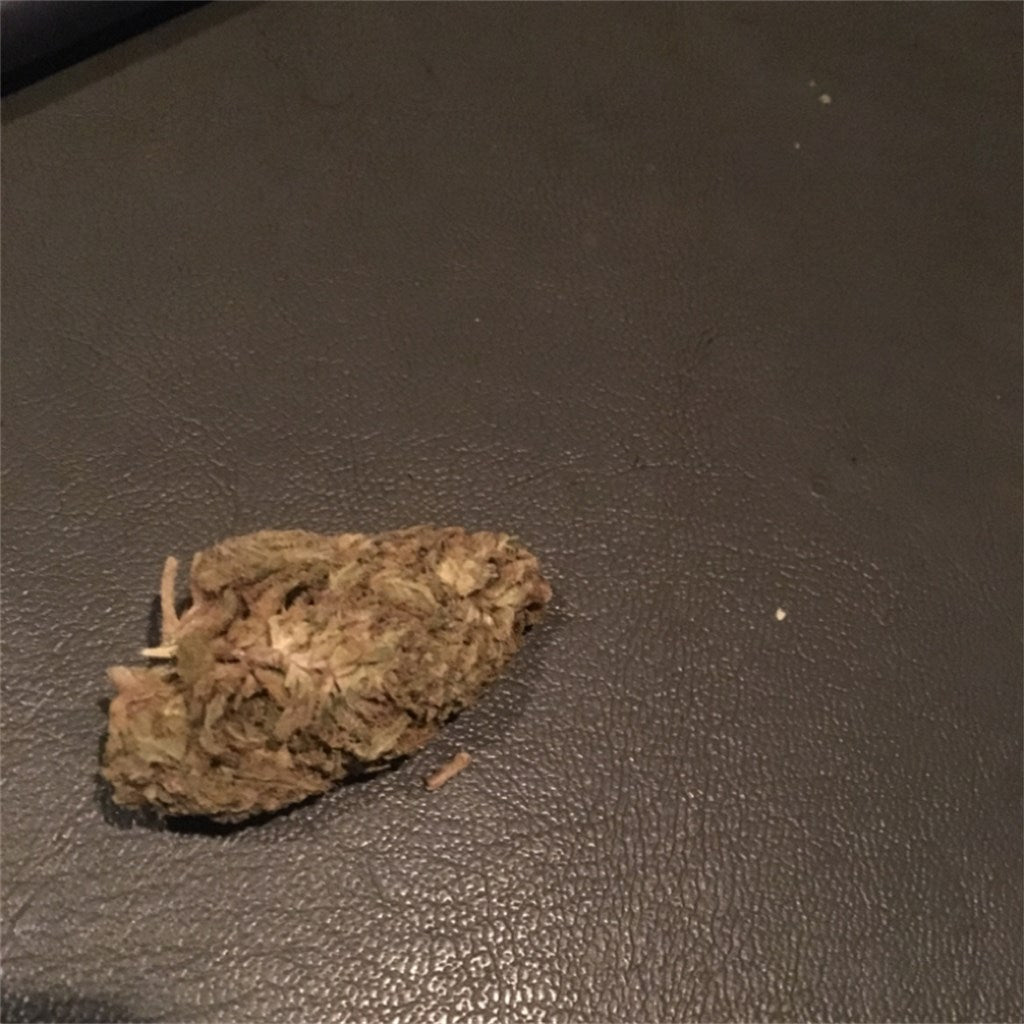 Boombaye marijuana strain flower with woody and tea flavor and energetic / talkative effects - Rare Harvest hybrid