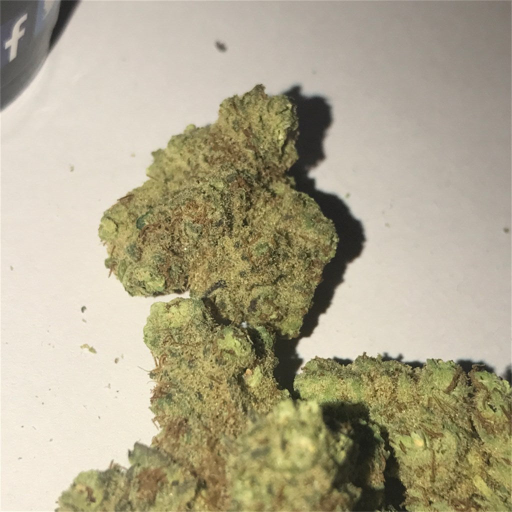 Bordello marijuana strain flower with tea and cheese flavor and tingly / relaxed effects - Rare Harvest hybrid