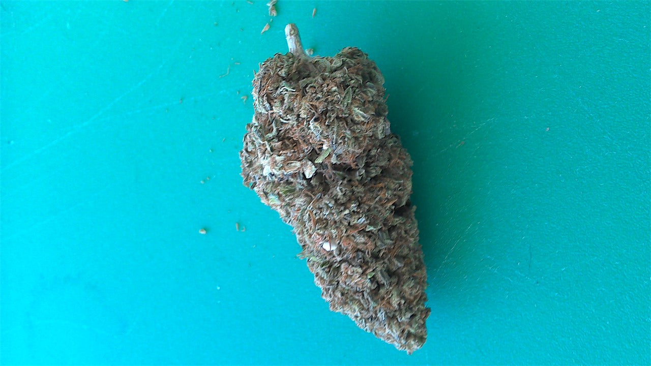 Boysenberry marijuana strain flower with berry and blueberry flavor and energetic / creative effects - Rare Harvest hybrid