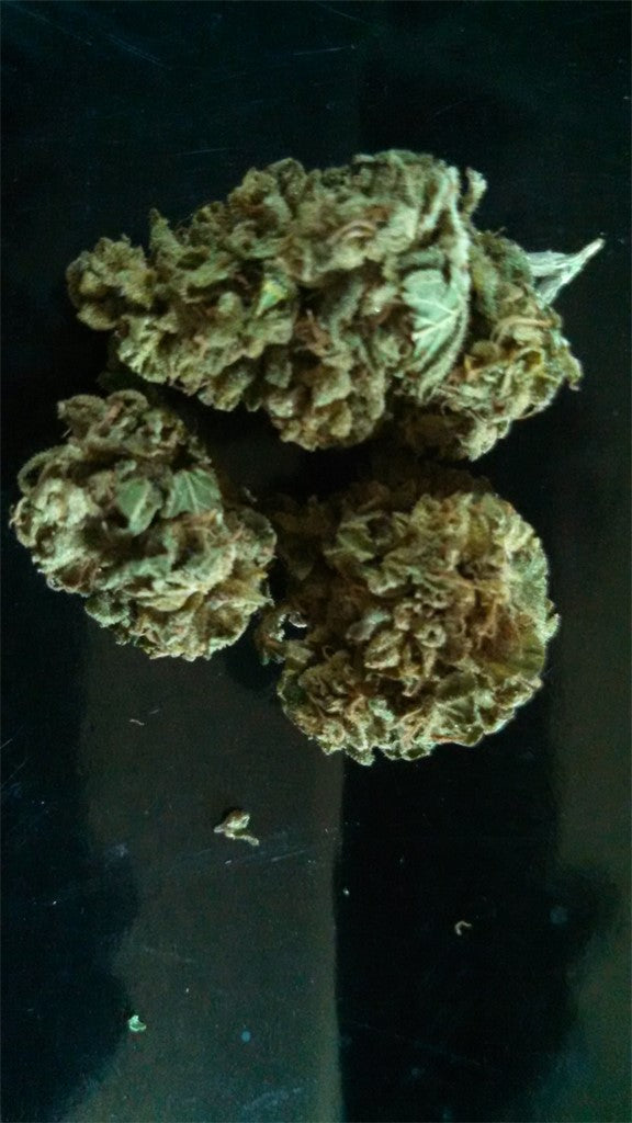 Brand X marijuana strain flower with tar and pine flavor and sleepy / hungry effects - Rare Harvest indica