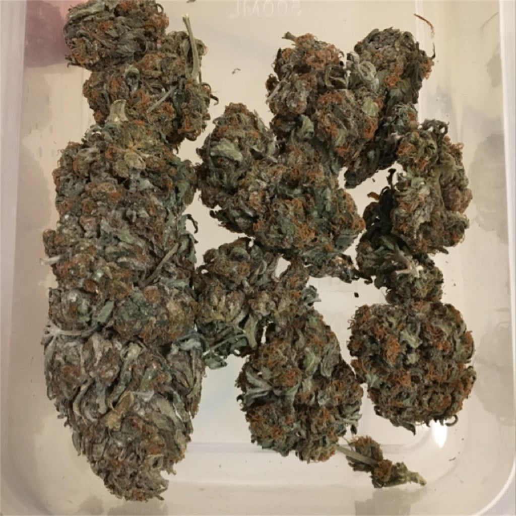 Bubba's Gift marijuana strain flower with grape and berry flavor and relaxed / euphoric effects - Rare Harvest indica