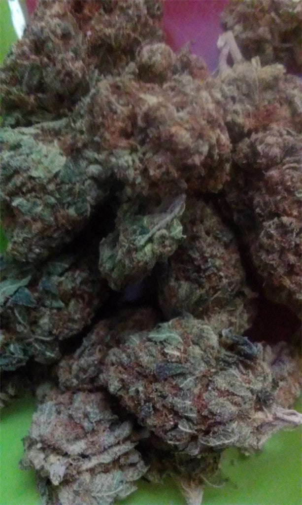 Bubble Cheese marijuana strain flower with cheese and blue cheese flavor and hungry / creative effects - Rare Harvest indica