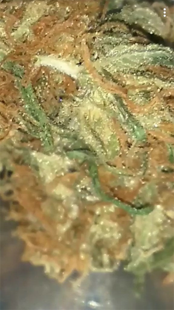 Bubble Gum marijuana strain flower with flowery and sweet flavor and happy / relaxed effects - Rare Harvest hybrid