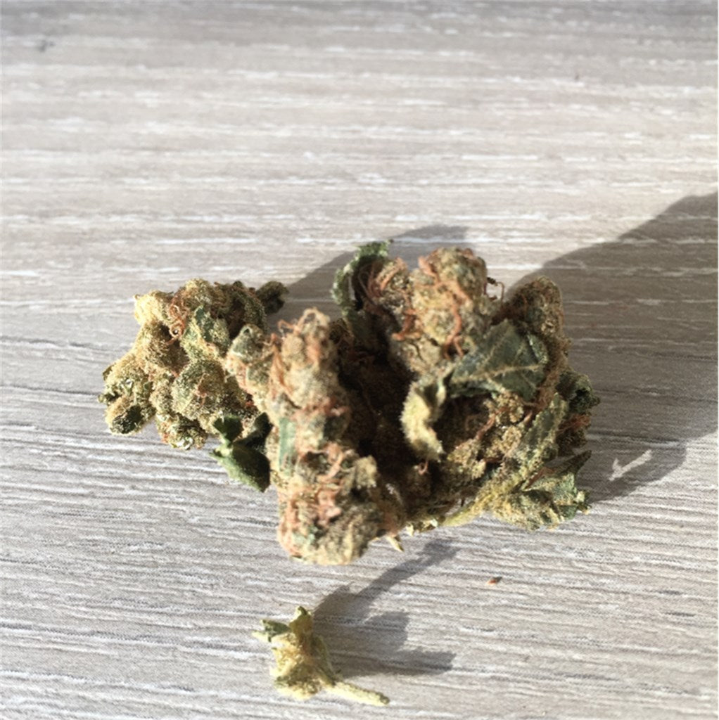 Old School Bubblegum marijuana strain flower with rose and butter flavor and relaxed / aroused effects - Rare Harvest hybrid