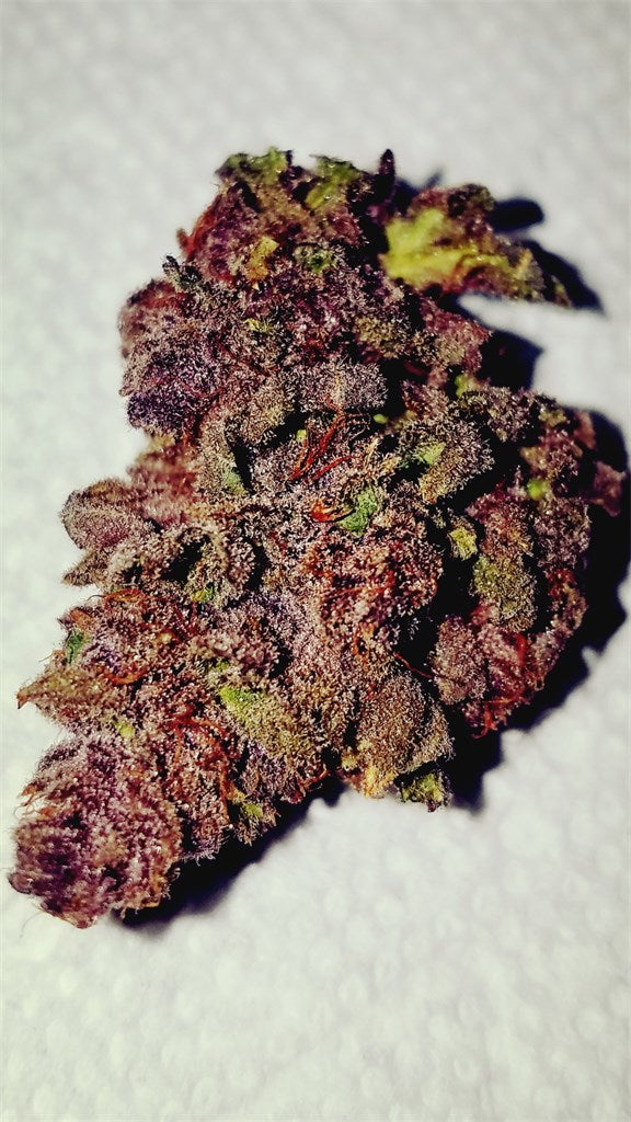 Buckeye Purple marijuana strain flower with grape and diesel flavor and sleepy / relaxed effects - Rare Harvest indica