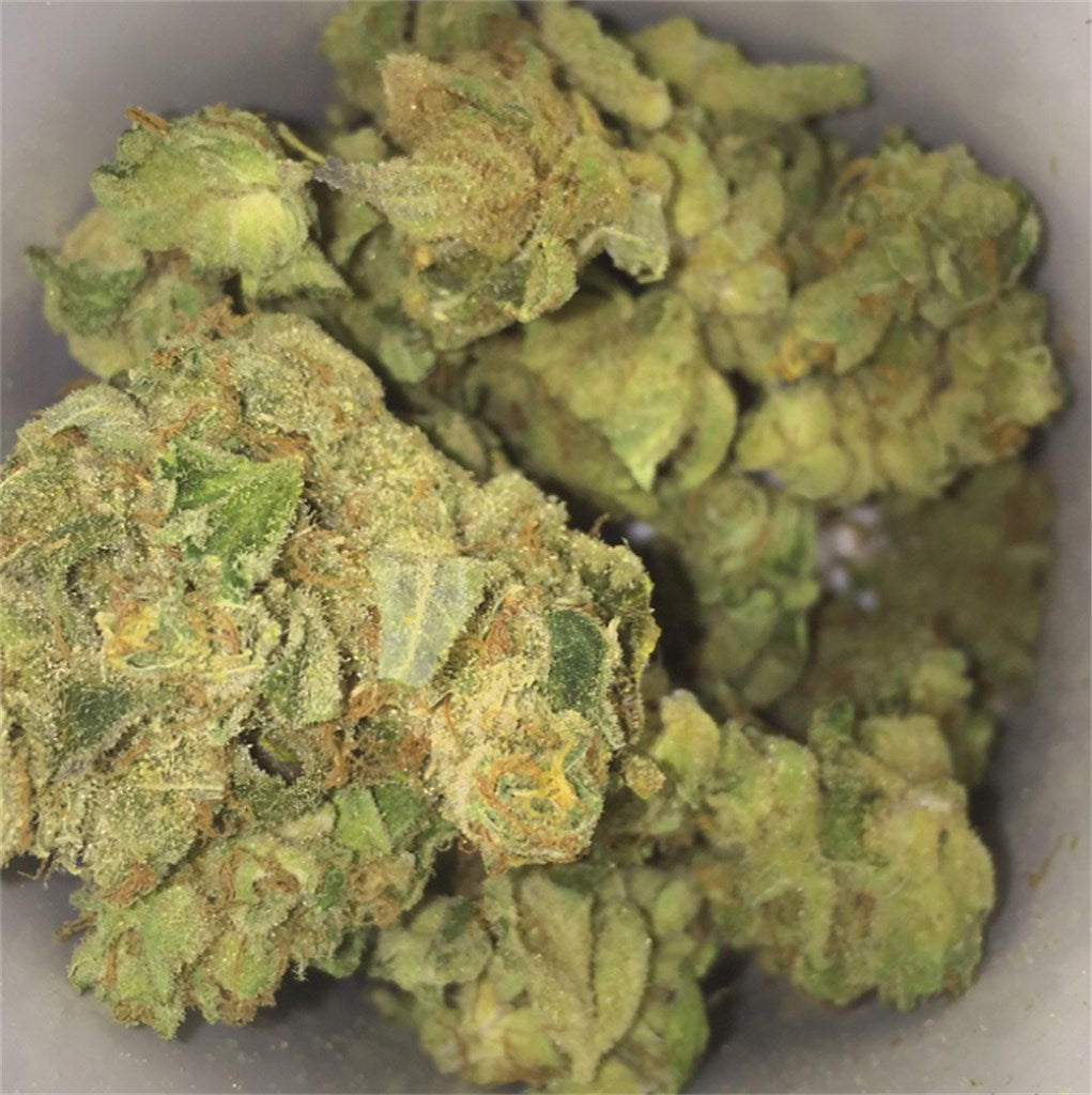 Buddha Haze marijuana strain flower with spicy/herbal and earthy flavor and creative / uplifted effects - Rare Harvest sativa