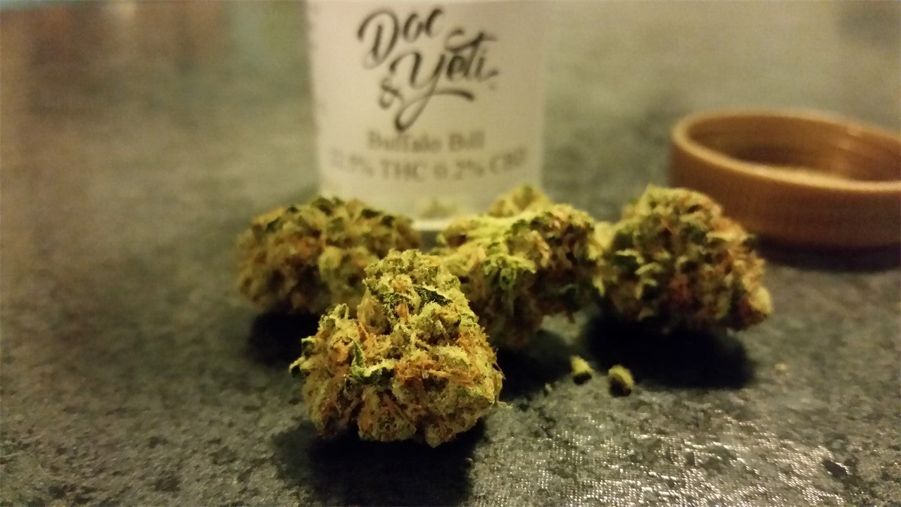 Buffalo Bill marijuana strain flower with pine and earthy flavor and euphoric / aroused effects - Rare Harvest sativa
