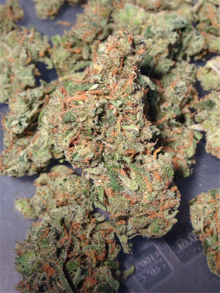C3PO marijuana strain flower with cheese and pine flavor and relaxed / focused effects - Rare Harvest hybrid