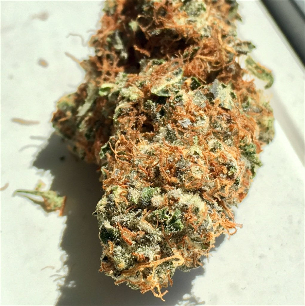C4 marijuana strain flower with sage and citrus flavor and relaxed / uplifted effects - Rare Harvest hybrid