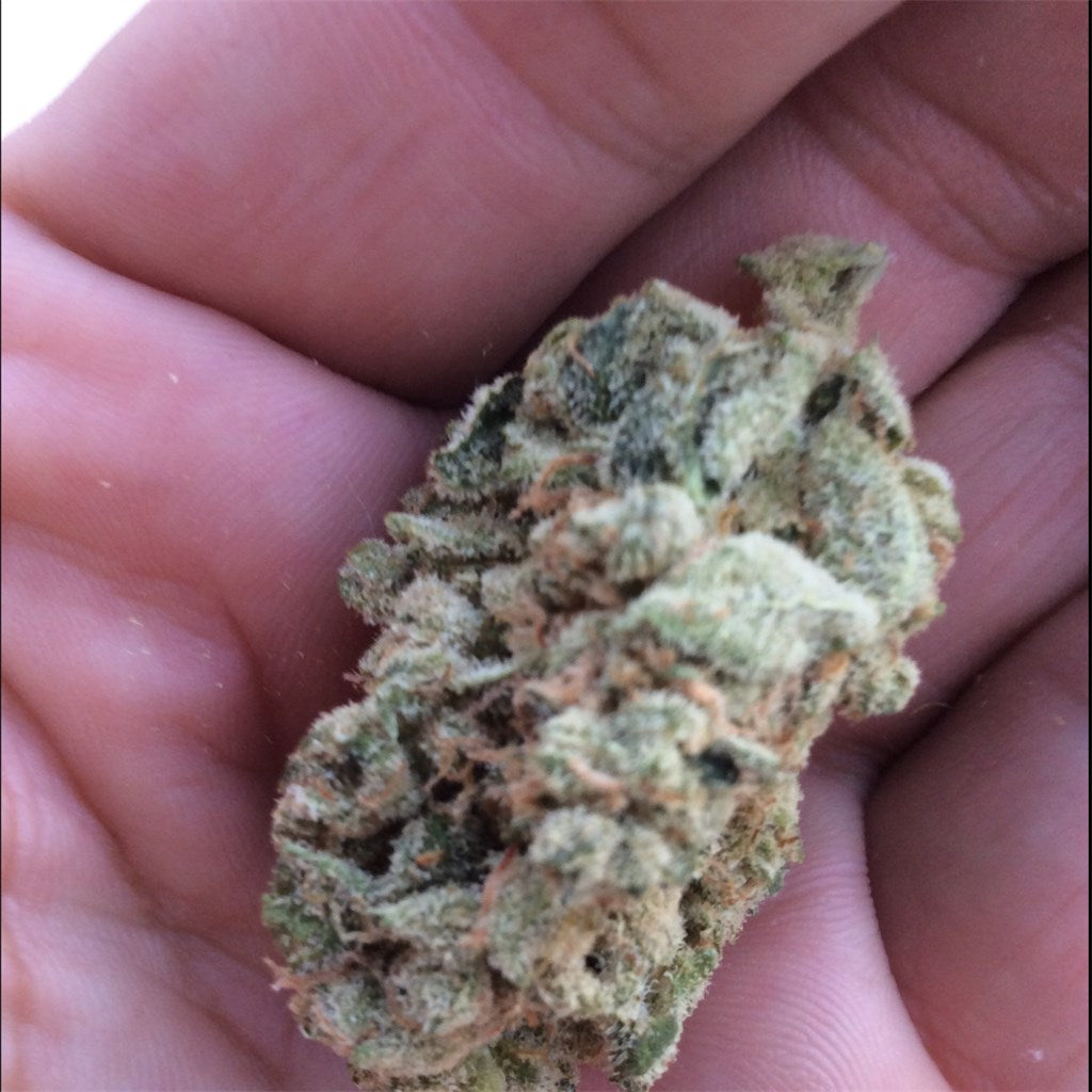 Cabbage Patch marijuana strain flower with berry and blueberry flavor and energetic / creative effects - Rare Harvest hybrid
