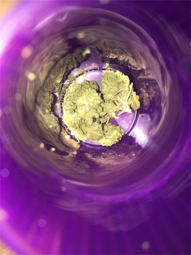 Cactus Cooler marijuana strain flower with lime and citrus flavor and focused / creative effects - Rare Harvest hybrid