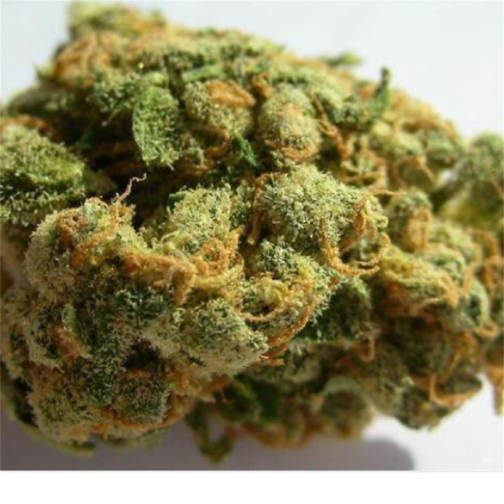 Cali Jack marijuana strain flower with diesel and skunk flavor and creative / energetic effects - Rare Harvest hybrid