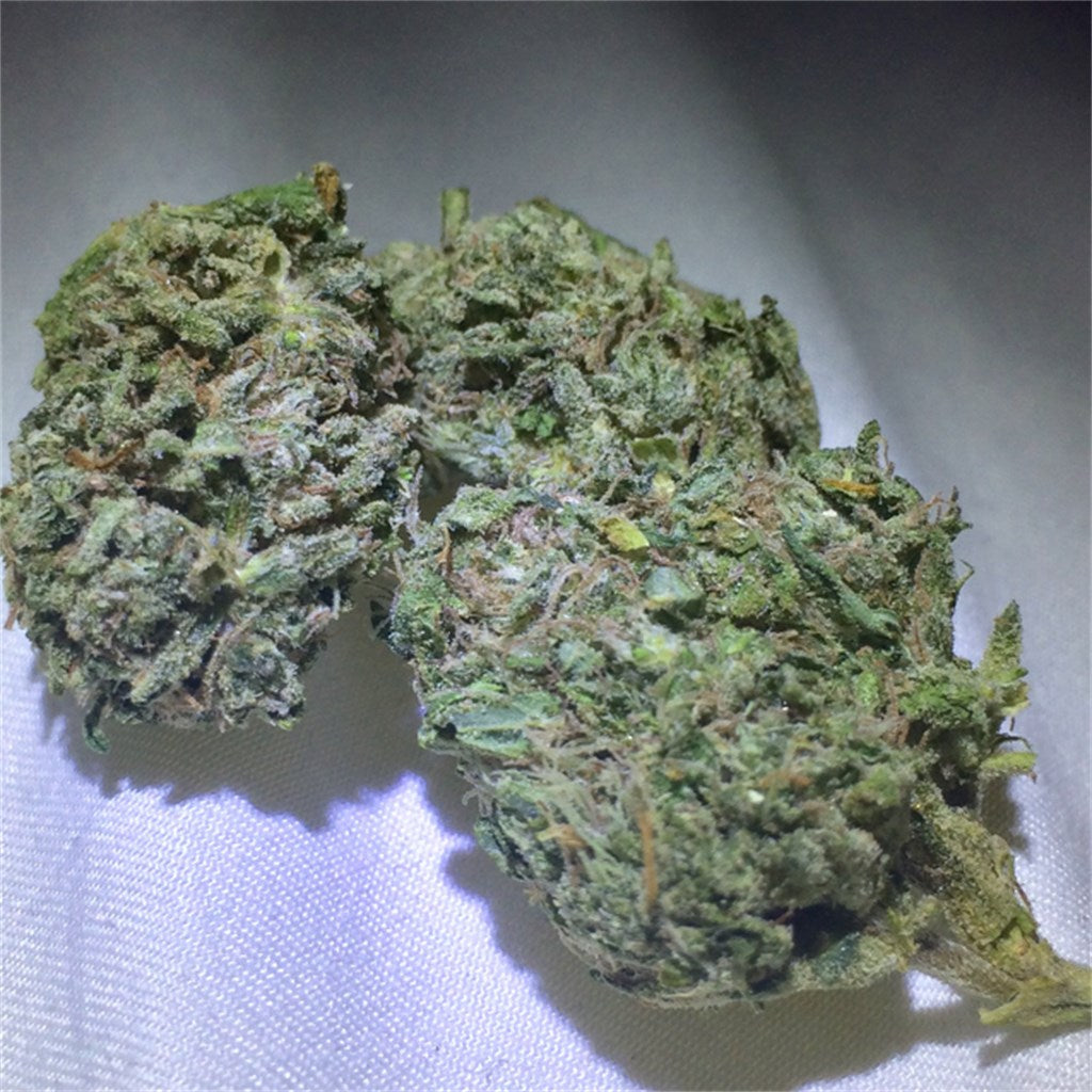 Cali Kush marijuana strain flower with woody and earthy flavor and relaxed / hungry effects - Rare Harvest hybrid