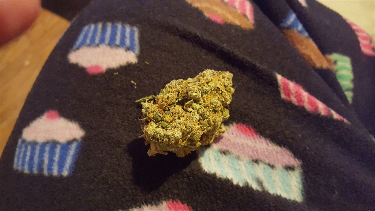 California Grapefruit marijuana strain flower with grapefruit and lime flavor and energetic / talkative effects - Rare Harvest indica