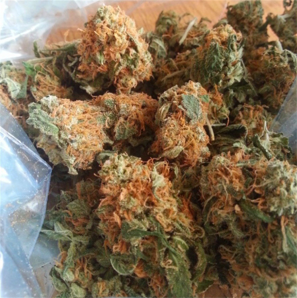 California Orange marijuana strain flower with orange and citrus flavor and aroused / happy effects - Rare Harvest hybrid