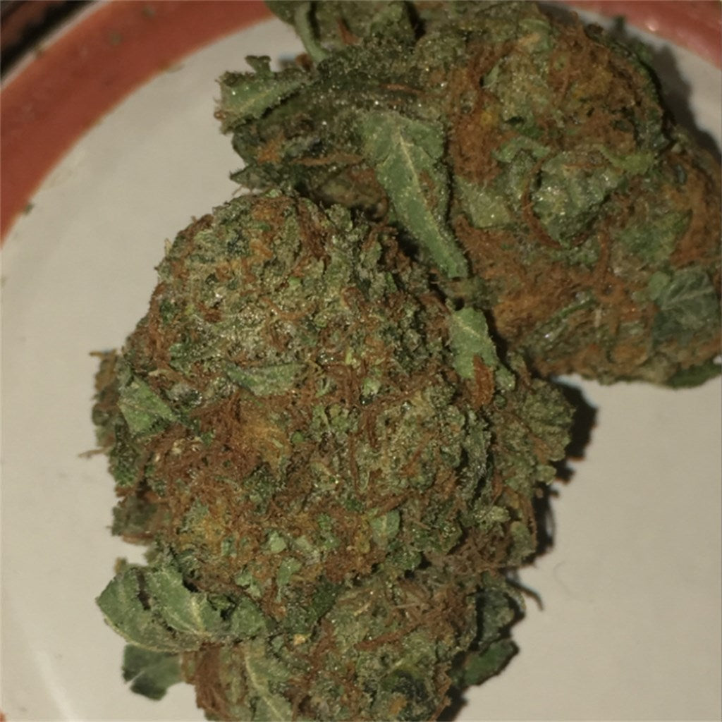 California Sour marijuana strain flower with diesel and lemon flavor and energetic / euphoric effects - Rare Harvest hybrid