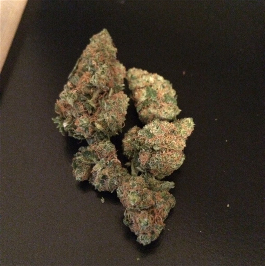 Canna-Tsu marijuana strain flower with woody and earthy flavor and relaxed / focused effects - Rare Harvest hybrid