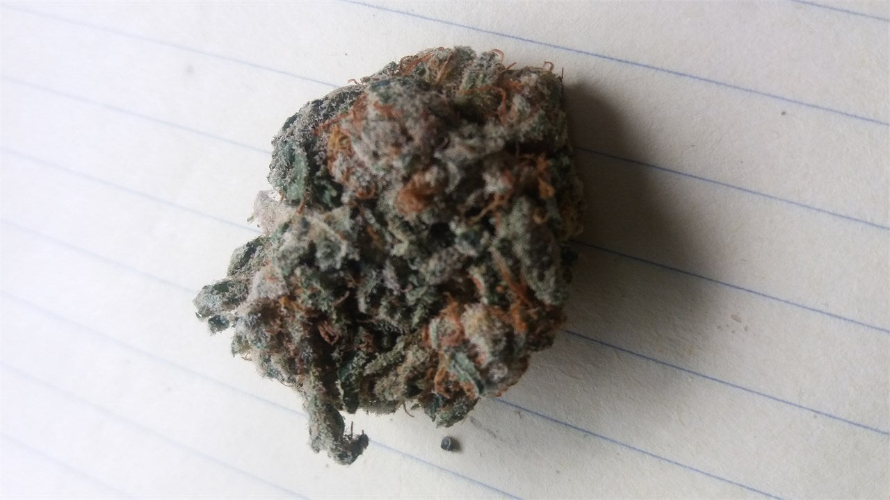 Captain America OG marijuana strain flower with pineapple and blueberry flavor and euphoric / talkative effects - Rare Harvest hybrid