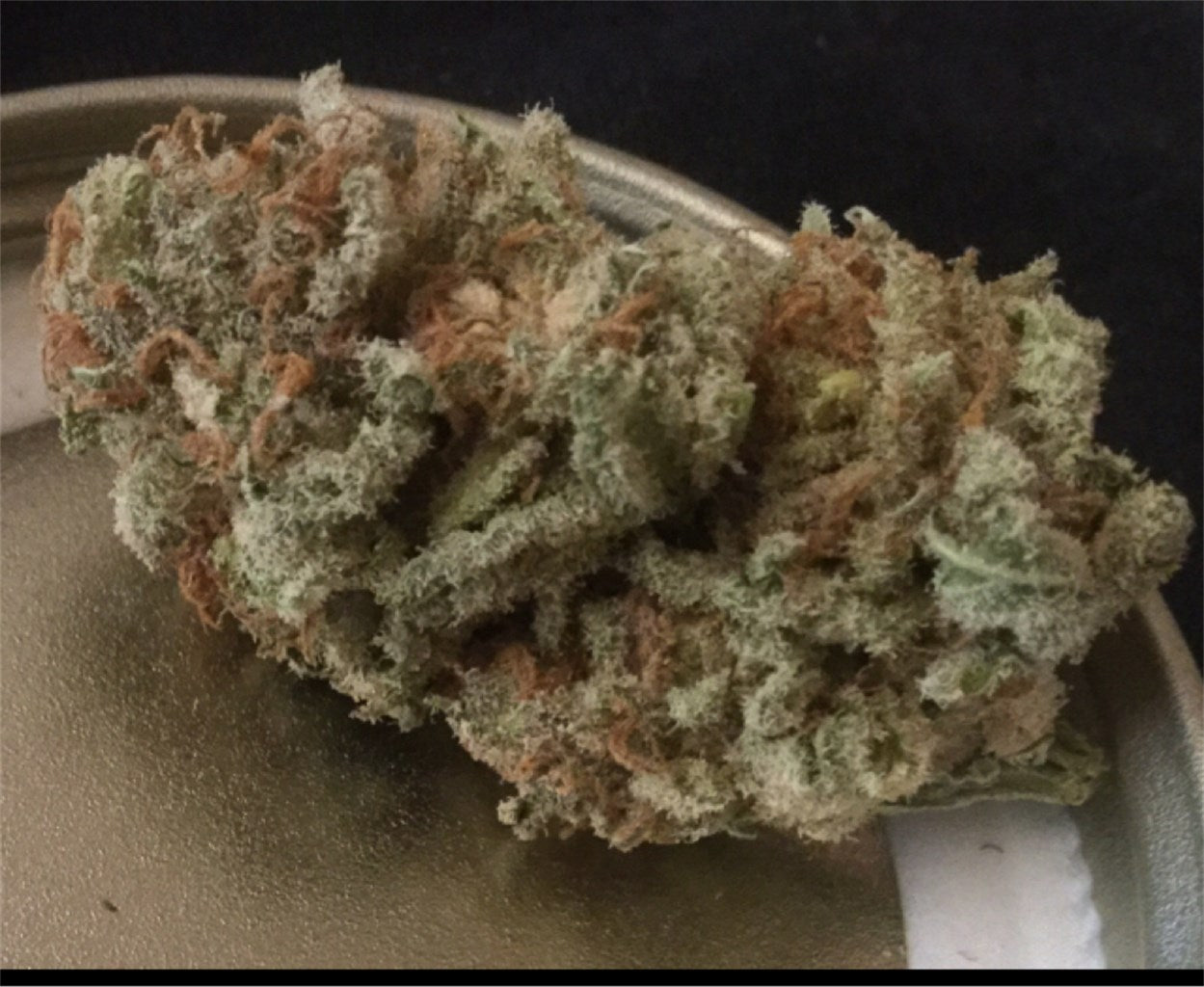 Caramelicious marijuana strain flower with honey and vanilla flavor and happy / euphoric effects - Rare Harvest hybrid