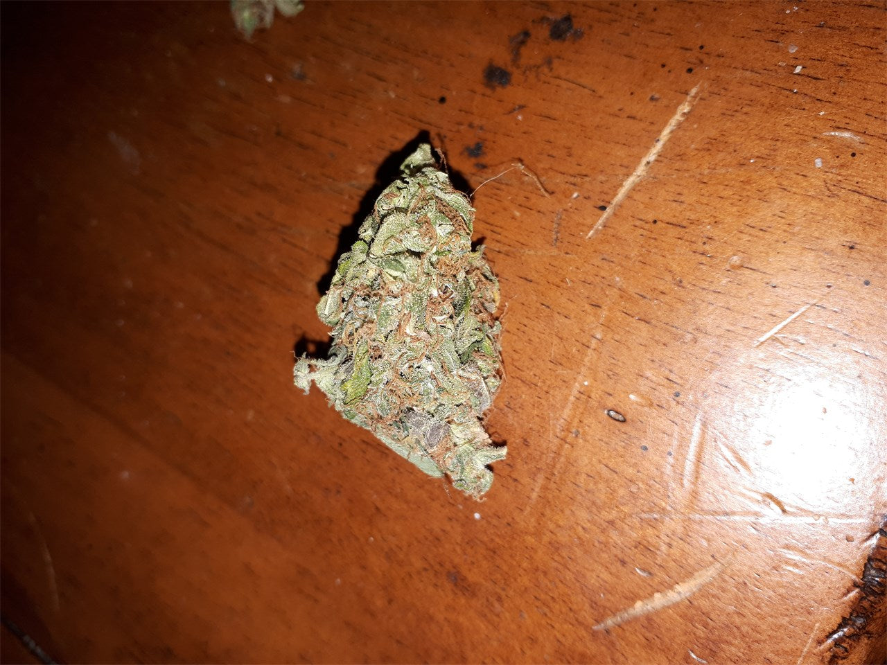 Caramella marijuana strain flower with apple and sweet flavor and euphoric / sleepy effects - Rare Harvest indica