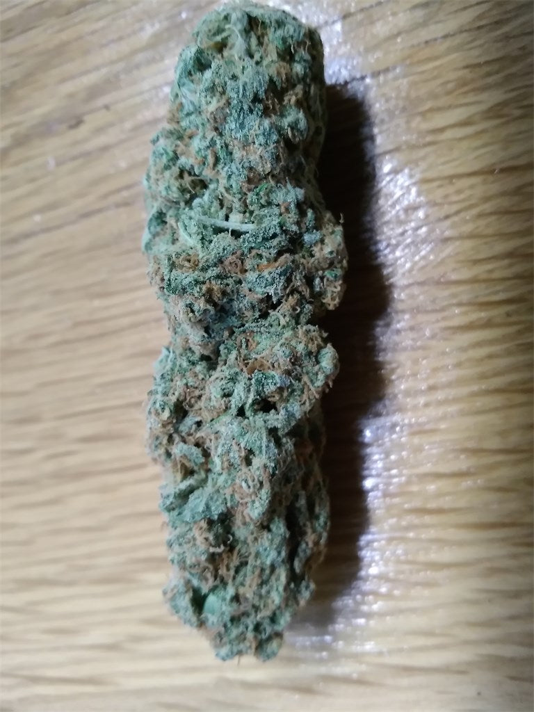 Carnival marijuana strain flower with pine and earthy flavor and energetic / talkative effects - Rare Harvest sativa