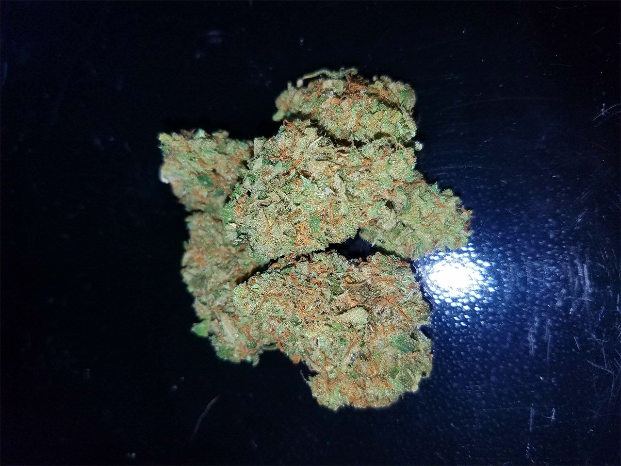 CBD Critical Mass marijuana strain flower with pepper and earthy flavor and relaxed / sleepy effects - Rare Harvest indica