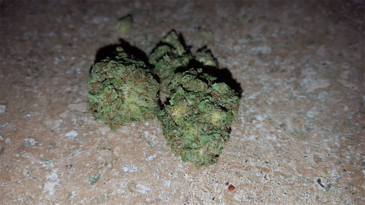 CBD Kush marijuana strain flower with nutty and woody flavor and relaxed / focused effects - Rare Harvest hybrid