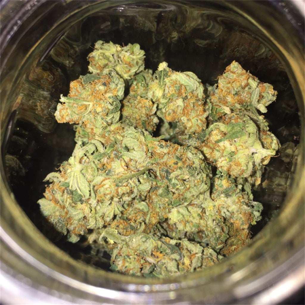 CBD Shark marijuana strain flower with earthy and spicy/herbal flavor and relaxed / focused effects - Rare Harvest indica