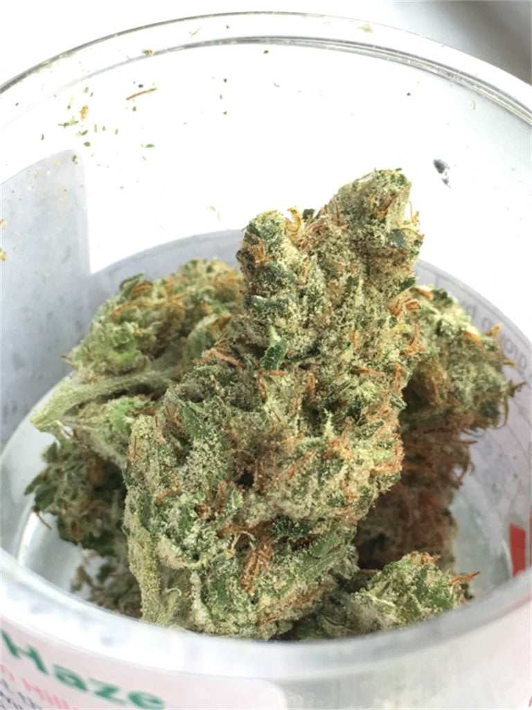 Cerebro Haze marijuana strain flower with diesel and lemon flavor and energetic / creative effects - Rare Harvest sativa