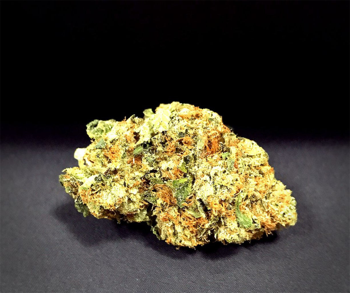 Champagne Kush marijuana strain flower with pear and lavender flavor and euphoric / happy effects - Rare Harvest hybrid