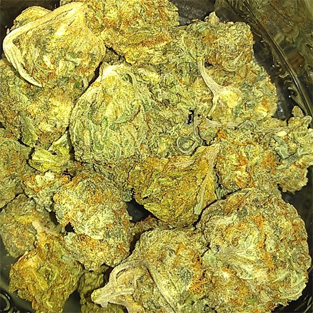 Cheese Candy marijuana strain flower with cheese and butter flavor and relaxed / hungry effects - Rare Harvest hybrid