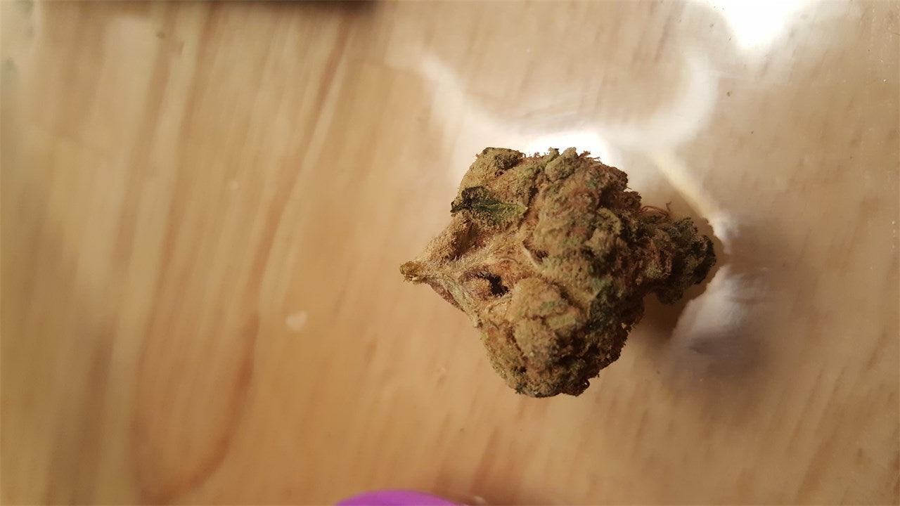 Chem Sis marijuana strain flower with chemical and diesel flavor and creative / energetic effects - Rare Harvest sativa