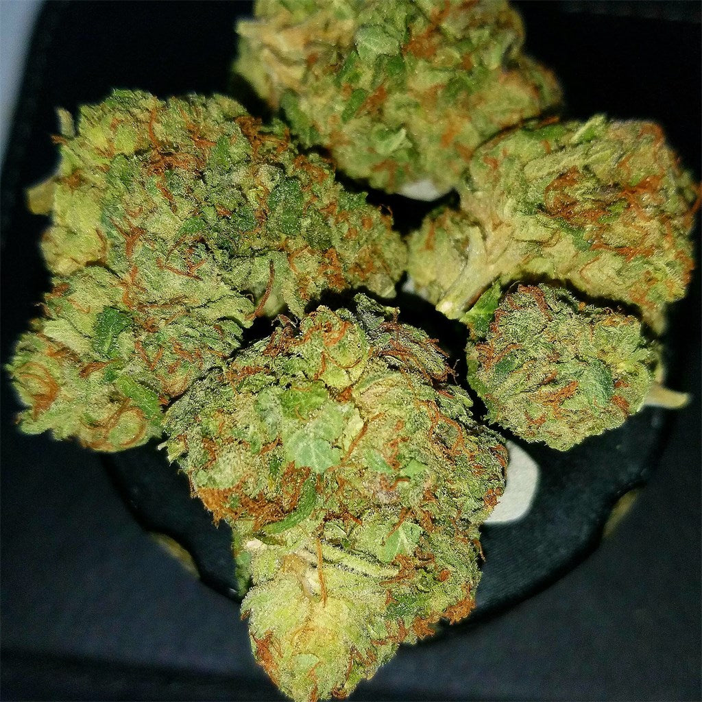 Chemo marijuana strain flower with woody and chestnut flavor and sleepy / hungry effects - Rare Harvest indica